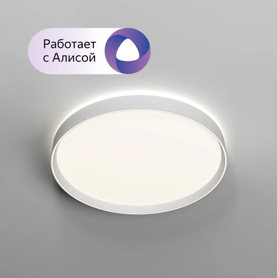 Светильник потолочный умный Denkirs DK6511-WH/1