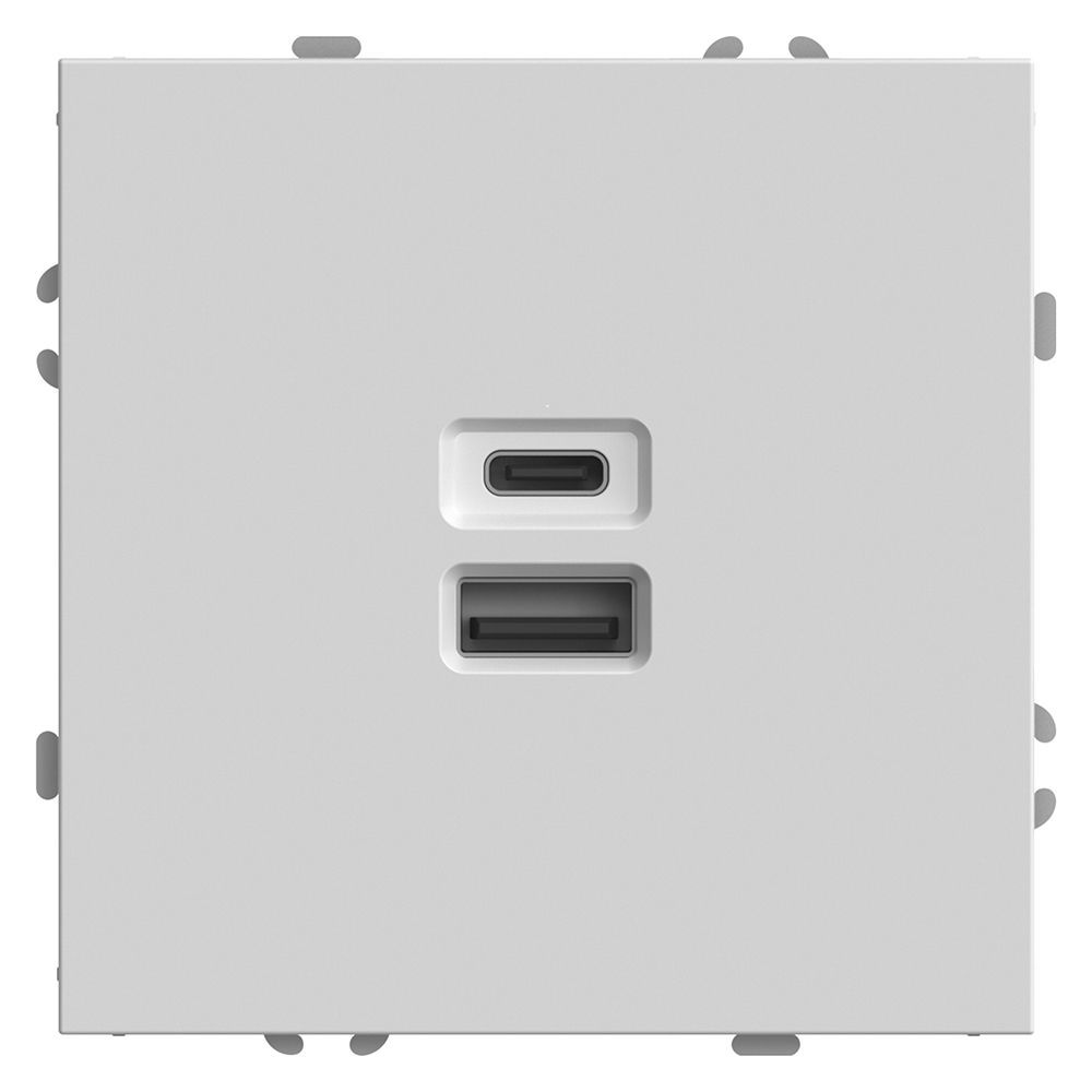 Розетка 2-местная USB + Type C Feron Эмили 49879
