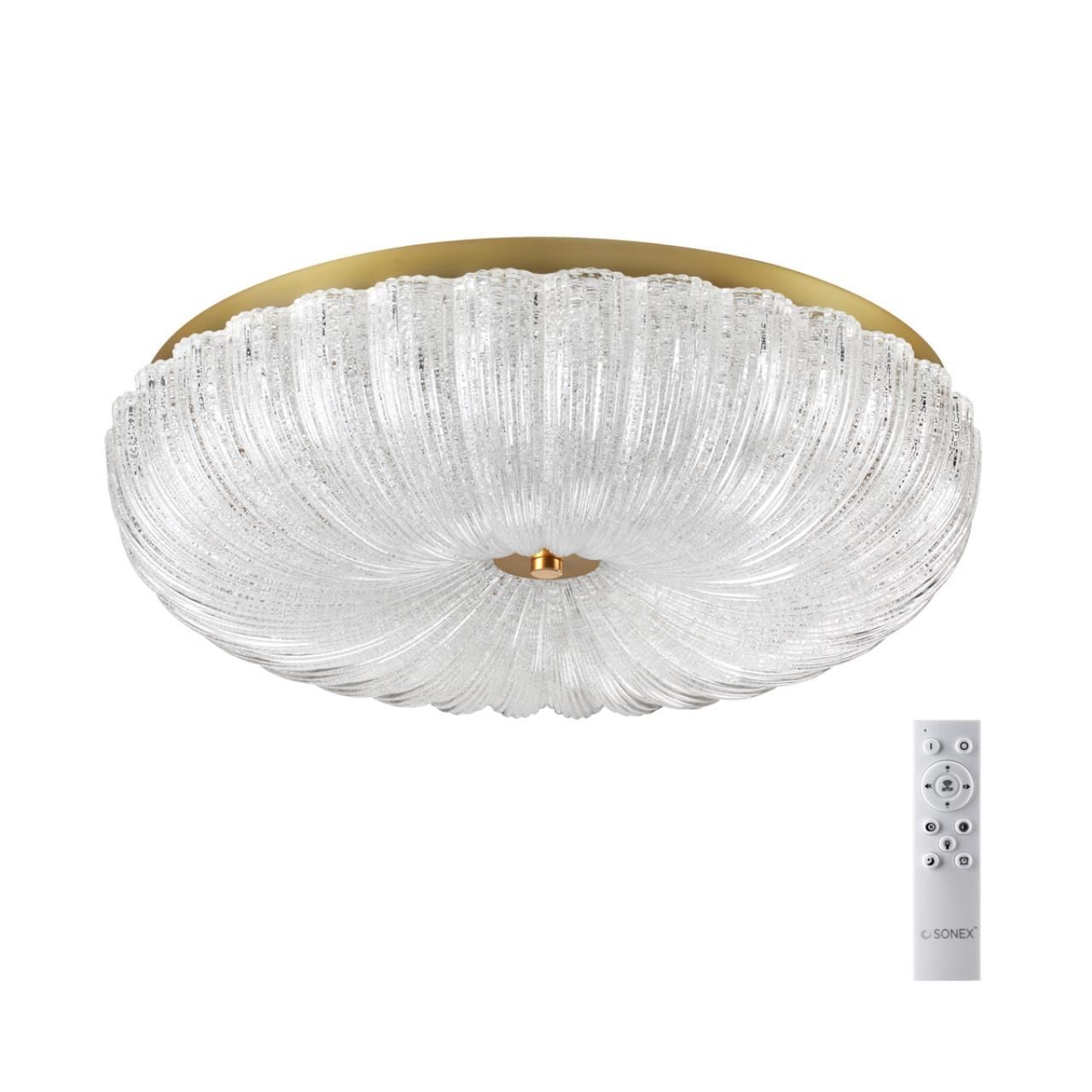 Потолочный светильник СОНЕКС PIKO LED 7719/60L