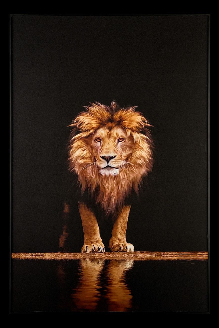 Картина Lion TD142