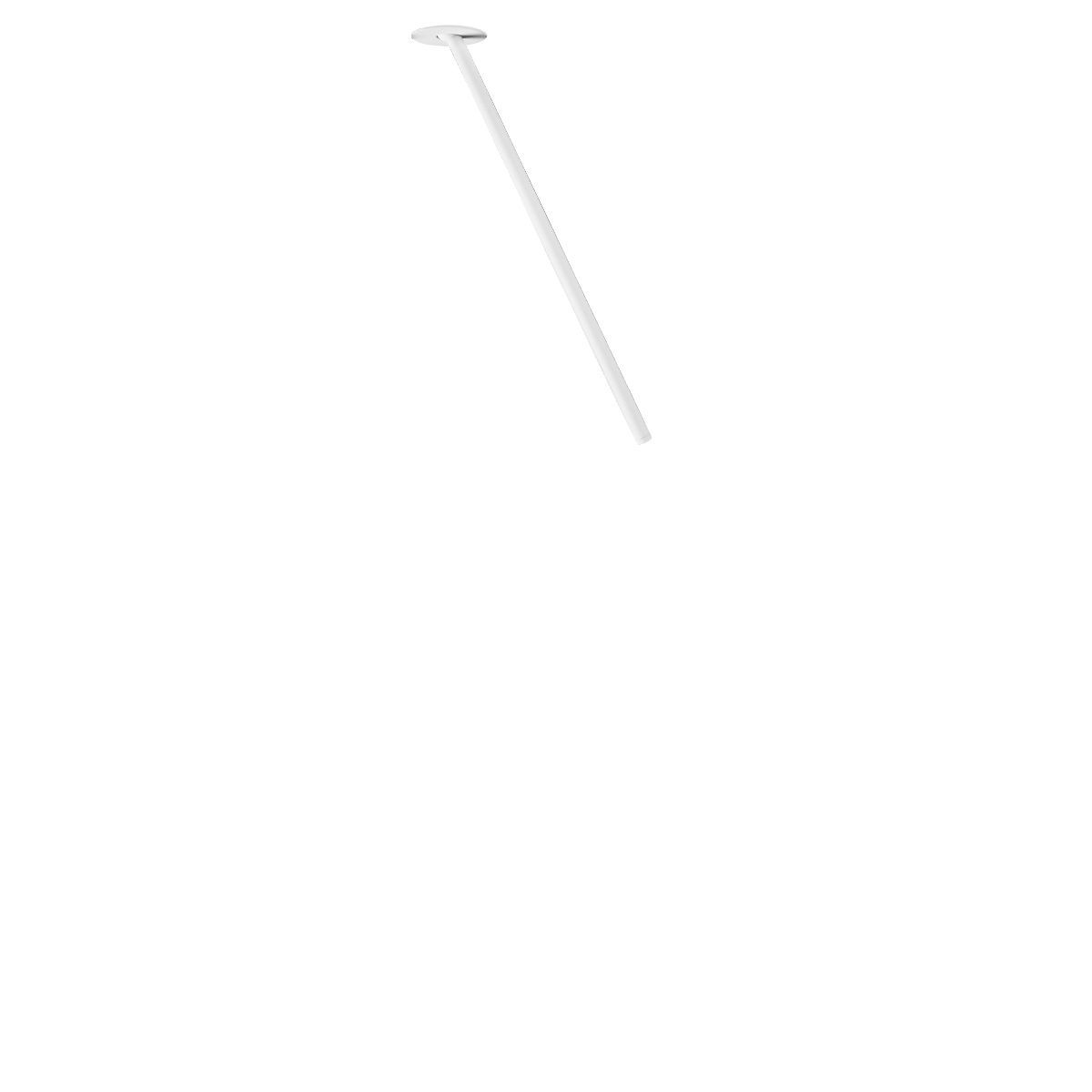 Настенно-потолочный светильник LOFT IT Cane 10359/500 White