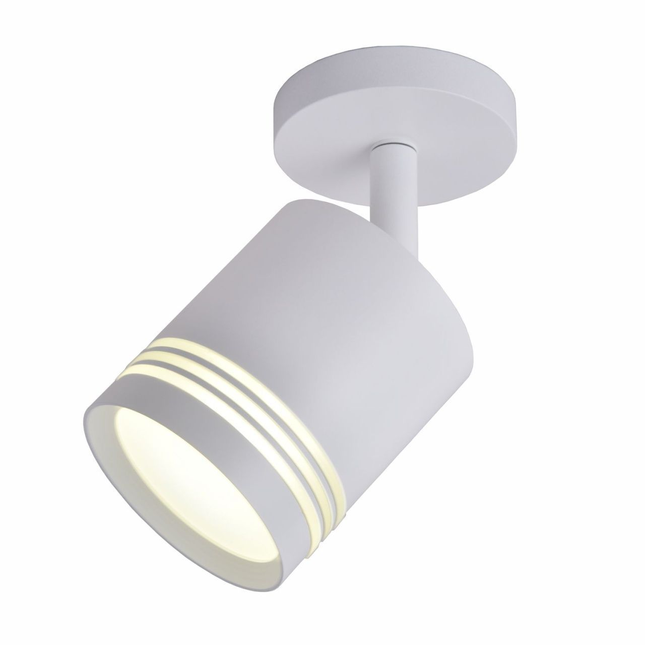 Настенно-потолочный светильник Flare Light FLR-10645