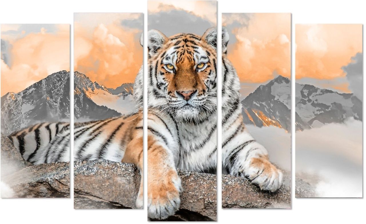 Пятимодуль Toplight TL-PM0033