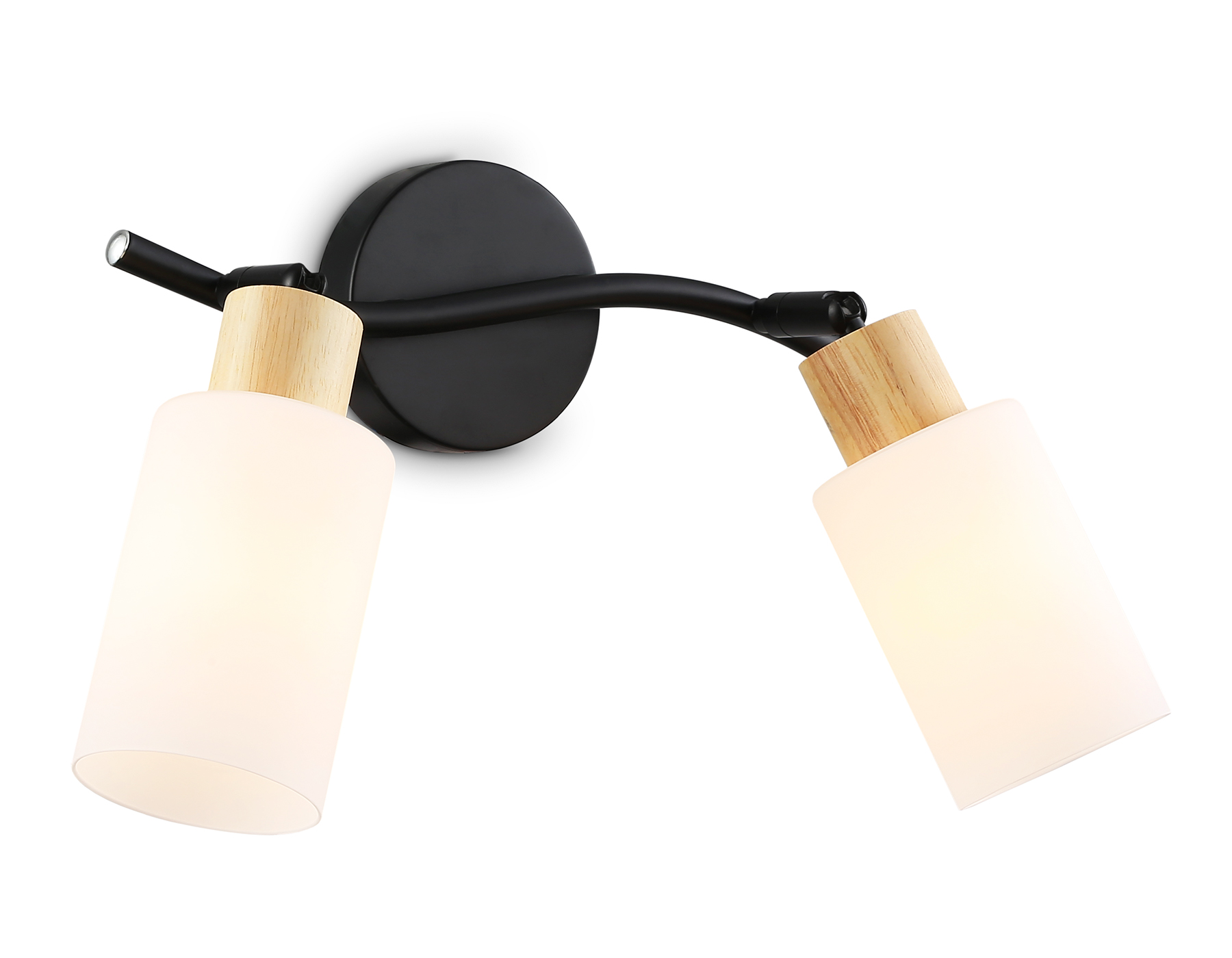 Настенно-потолочный спот в стиле лофт Ambrella Light TR8721