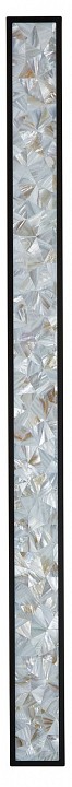 Накладной светильник Favourite Primum 4857-2W