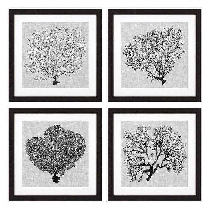 Постеры Prints EC 289 Shadow Sea Fan 112752