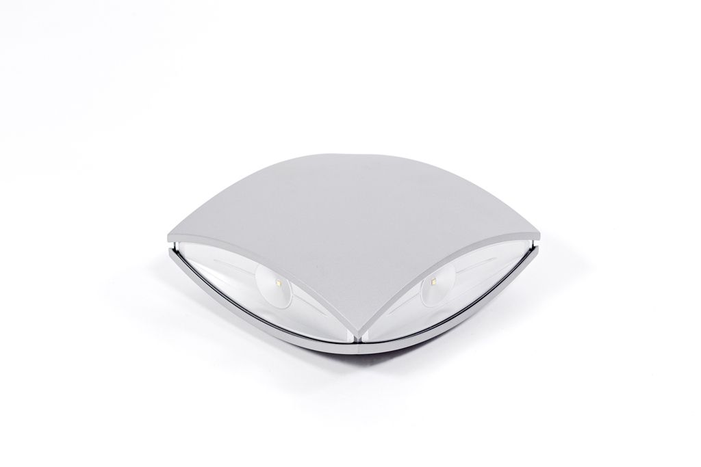Светильник настенный Oasis Light W1869 S