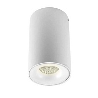 Потолочный светильник Donolux DL18612/01WW-R White