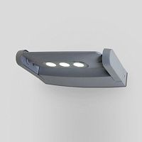 Настенный светодиодный уличный светильник Oasis Light LEDSPOT W6144-1 S
