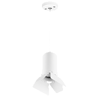 Комплект со светильником Rullo Rullo Lightstar RP436436