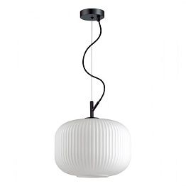 Подвесной светильник Odeon Light ROOFI 4754/1