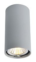 Светильник потолочный Arte Lamp  A1516PL-1GY