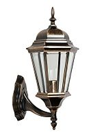 Настенный уличный светильник Oasis Light ASTORIA2 91401L Gb
