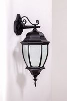 Настенный уличный светильник Oasis Light ARSENAL 91202L Bl