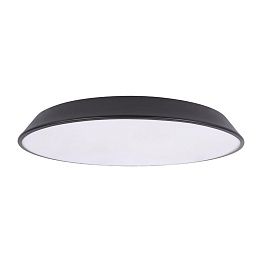 Потолочный светильник LOFT IT Brim 10226 Black