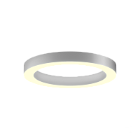 Светильник 6063 кольцо (RAL9003/625mm/LT70 — 3K/51W)