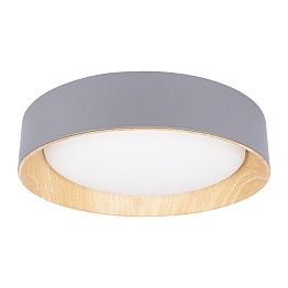 Потолочный светильник LOFT IT Coin 10202 Grey