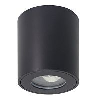 Потолочный светильник Arte Lamp TINO A1469PL-1BK