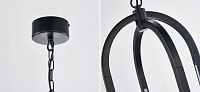 Двойной овальный подвесной светильник Roll and Hill Black Loft-Concept 40.6164-3