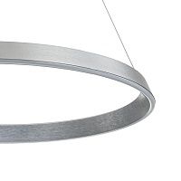 Подвесной светильник 14019/1P Silver
