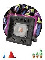 Фитопрожектор для растений Эра FITO-50W-LED-BLUERED Б0039033