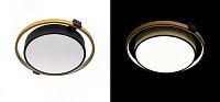 Потолочный светильник Gold Round Saturn Loft-Concept 48.478-3