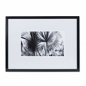 Картина Kelly Hoppen Black & White Palm Leaves