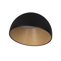 Светильник потолочный LOFT IT Egg 10197/350 Black