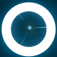 alt