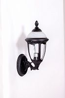 Настенный уличный светильник Oasis Light ST. LOUIS 89101/15S Bl