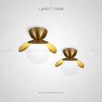 Потолочный светильник Lampatron ELODIA elodia01