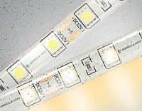 Светодиодная лента Ambrella Light GS2101 5050 60Led /14.4W m/ 12V IP65 3000K 5m