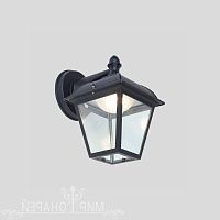Настенный светодиодный уличный светильник Oasis Light POSI W2612S Bl