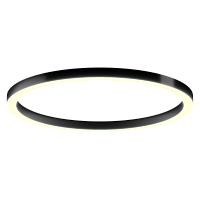 Светильник 6063 кольцо (RAL9005/1550mm/LT70 — 3K/132W)