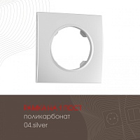 Рамка на 1 пост 502.04-1.silver Arte Milano