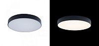 Потолочный светильник Maelis Black диаметр 40 Loft-Concept 48.516-3