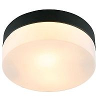 Светильник для ванной комнаты Arte Lamp AQUA-TABLET A6047PL-1BK