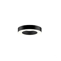 Светильник 6063 кольцо (RAL9005/425mm/LT70 — 4K/36W)