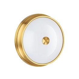 Настенно-потолочный светильник Odeon Light WALLI 4824/3C