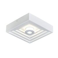 Настенно-потолочный светильник Escada Gesso 10218/SGLED
