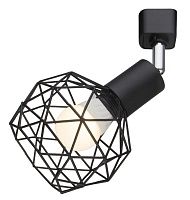 Светильник потолочный Arte Lamp  A6141PL-1BK
