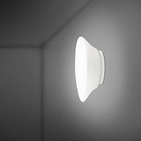 Настенный/Потолочный светильник Fabbian F07G1701