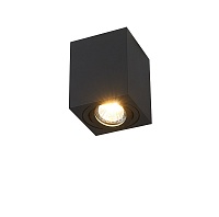 Потолочный светильник Simple Story 2038-1CLB