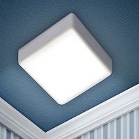 Настенно-потолочный светильник Эра LED 16-18-6K Б0054339