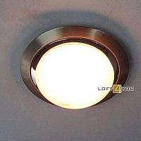 Потолочный светильник Silver Bat L01737