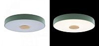 Потолочный светильник Wooden Wheels Green диаметр 40 Loft-Concept 48.524-3