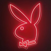 Неоновая настенная лампа Playboy Bunny Neon Wall Lamp Loft-Concept 46.217-0