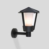Настенный уличный светильник Oasis Light SEUL 1251S