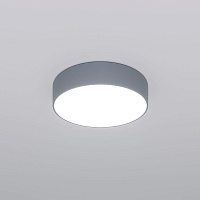 Потолочный светильник Eurosvet Entire 90318/1 серый a062827