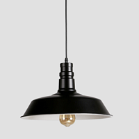 Подвесной светильник Loft Черный Loft Concept 40.1573